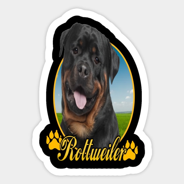 Rottweiler Sticker by petermurphy619